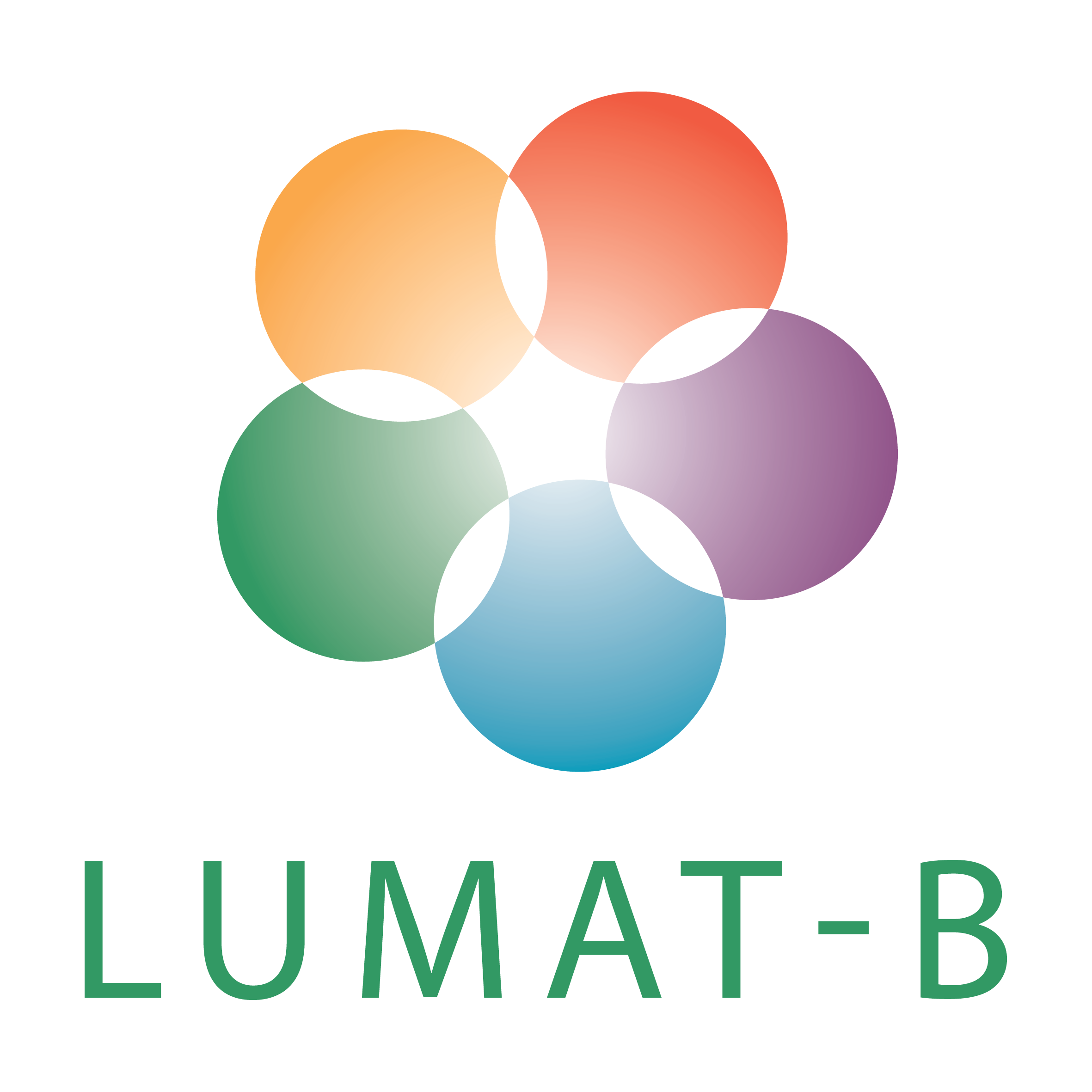 LUMATB -lehden logo / LUMAB-B journal logo