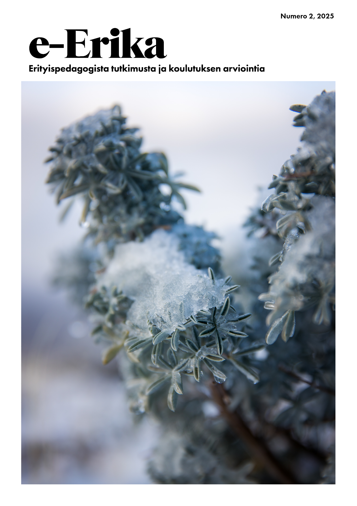 					Näytä Vol 2025 Nro 2 (2025): e-Erika
				